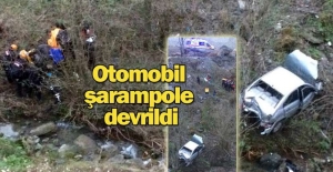 Otomobil şarampole devrildi: 1 yaralı