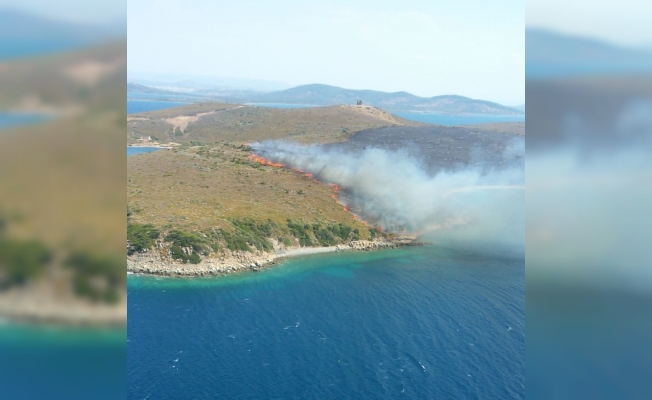 Maden Adası'nda yangın