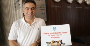 Uygulama oteli sokak hayvanlarına kucak açıyor