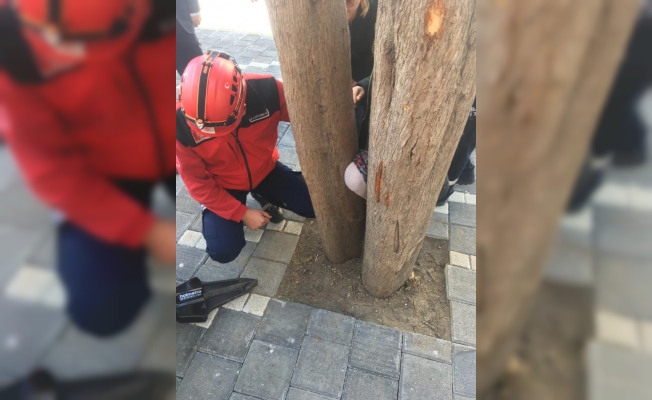 Ayağı ağacın dalları arasına sıkışan öğrenciyi itfaiye kurtardı