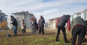 Edirne'de kent bahçeciliği çalışmaları