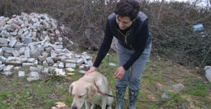 Sahibi öldürülen köpeğe KEHAYKO sahip çıktı