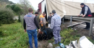 GÜNCELLEME - Kocaeli'de büyükbaş hayvan yüklü tır devrildi