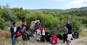 Çanakkale'de 53 düzensiz göçmen yakalandı