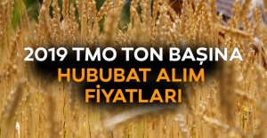 TMO'dan hububat alım açıklaması