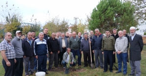 Diyanetten fidan dikme etkinliği