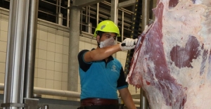 Çevreye atılan et ve kemikler halk sağlığını tehdit ediyor