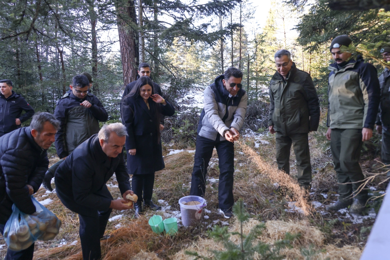 Bilecik'te yaban hayvanlarına Vali şefkati